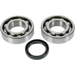 Σετ ρουλεμάν και στεγανοποιήσεις HOT RODS για KAWASAKI/SUZUKI ΑΛΛΑ K043 Σετ ρουλεμάν και στεγανοποιήσεις HOT RODS για KAWASAKI/SUZUKI ΑΛΛΑ K043