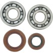 Σετ ρουλεμάν και τσιμούχες HOT RODS για KTM ΑΛΛΑ K064 Σετ ρουλεμάν και τσιμούχες HOT RODS για KTM ΑΛΛΑ K064 thumb