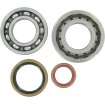 Σετ ρουλεμάν και τσιμούχες HOT RODS για KTM ΑΛΛΑ K066 Σετ ρουλεμάν και τσιμούχες HOT RODS για KTM ΑΛΛΑ K066 thumb