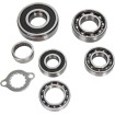 Σετ ρουλεμάν μετάδοσης HOT RODS SUZUKI ΑΛΛΑ TBK0056 thumb