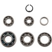 Σετ ρουλεμάν μετάδοσης HOT RODS KAWASAKI ΑΛΛΑ TBK0035 Σετ ρουλεμάν μετάδοσης HOT RODS KAWASAKI ΑΛΛΑ TBK0035 thumb