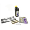 Εμπρόσθια ελατήρια FRT FK SPRG FLFB(S) FAT ΑΛΛΑ SP-HD17-SSA013 thumb