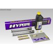 Ελατήρια πιρουνιού HONDA XL 750 TRAN ΑΛΛΑ SP-HO07-SSA062 thumb
