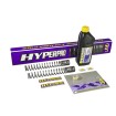 Σετ εμπρόσθιων ελατηρίων για πιρούνι YAMAHA ΑΛΛΑ SP-YA05-SSA009 Σετ εμπρόσθιων ελατηρίων για πιρούνι YAMAHA ΑΛΛΑ SP-YA05-SSA009 thumb
