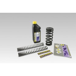 Σετ χαμηλώματος ελατηρίων -30MM ΑΛΛΑ SP-BM08-SSC025B Σετ χαμηλώματος ελατηρίων -30MM ΑΛΛΑ SP-BM08-SSC025B