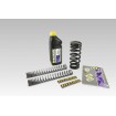 Σετ ελατηρίων χαμηλώματος -25MM ΑΛΛΑ SP-HO10-SSC033B Σετ ελατηρίων χαμηλώματος -25MM ΑΛΛΑ SP-HO10-SSC033B thumb