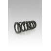 Σετ ελατηρίων χαμηλώματος -25MM ΑΛΛΑ SP-HO10-SSC033B Σετ ελατηρίων χαμηλώματος -25MM ΑΛΛΑ SP-HO10-SSC033B thumb