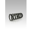 Σετ ελατηρίων χαμηλώματος -25MM ΑΛΛΑ SP-HO11-SSC018B Σετ ελατηρίων χαμηλώματος -25MM ΑΛΛΑ SP-HO11-SSC018B thumb