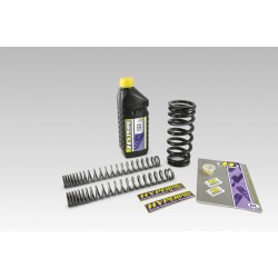 Σετ Χαμηλώματος SPR COMBI -40 MM HONDA ΑΛΛΑ SP-HO02-SSK022B Σετ Χαμηλώματος SPR COMBI -40 MM HONDA ΑΛΛΑ SP-HO02-SSK022B