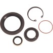 Σετ τσιμούχες για κύρια μετάδοση JAMES GASKETS JGI-12074-K Σετ τσιμούχες για κύρια μετάδοση JAMES GASKETS JGI-12074-K thumb