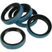 Τσιμούχα 5ης ταχύτητας JAMES GASKETS JGI-12035-B Τσιμούχα 5ης ταχύτητας JAMES GASKETS JGI-12035-B thumb