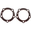 Φλάντζες κεφαλής κυλίνδρου JAMES GASKETS JGI-16770-48-X Φλάντζες κεφαλής κυλίνδρου JAMES GASKETS JGI-16770-48-X thumb