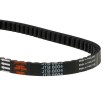 Ιμάντας κίνησης premium JT JTB8004 thumb