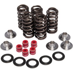 Σετ ελατηρίων racing με περιοριστή τιτανίου KIBBLEWHITE 80-80206