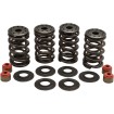 Σετ ελατηρίων racing steel retainer KIBBLEWHITE 20-20364 Σετ ελατηρίων racing steel retainer KIBBLEWHITE 20-20364 thumb
