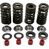 Σετ ελατηρίων racing με τιτάνιο περιοριστή KIBBLEWHITE 30-30590