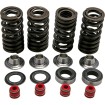 Σετ ελατηρίων racing με τιτάνιο περιοριστή KIBBLEWHITE 30-30590 thumb
