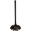 Βαλβίδα εισαγωγής black diamond KIBBLEWHITE 30-30630 Βαλβίδα εισαγωγής black diamond KIBBLEWHITE 30-30630 thumb