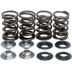 Σετ ελατηρίων racing με τιτάνιο στοπ KIBBLEWHITE 60-60045 Σετ ελατηρίων racing με τιτάνιο στοπ KIBBLEWHITE 60-60045 thumb