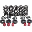 Σετ ελατηρίων racing με τιτάνιο περιοριστή KIBBLEWHITE 80-80100 thumb