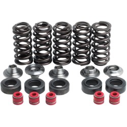 Σετ ελατηρίων racing με τιτάνιο περιοριστή KIBBLEWHITE 80-80100