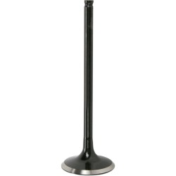 Βαλβίδα εισαγωγής black diamond KIBBLEWHITE 30-30910 Βαλβίδα εισαγωγής black diamond KIBBLEWHITE 30-30910