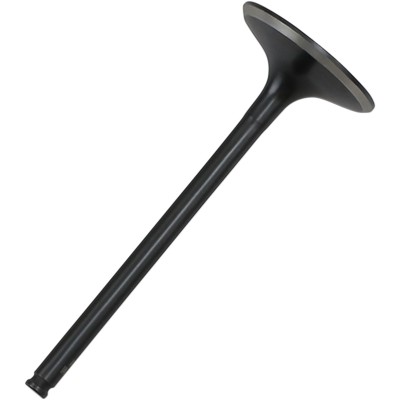 Βαλβίδα black diamond intake KIBBLEWHITE 30-31162