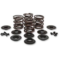 Σετ ελατηρίων oem replacement steel retainer KIBBLEWHITE 20-20425