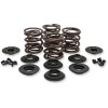 Σετ ελατηρίων αντικατάστασης OEM με ατσάλινο συγκρατητήρα KIBBLEWHITE 20-20435
