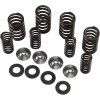 Σετ ελατηρίων racing με τιτάνιο περιοριστή KIBBLEWHITE 60-60500
