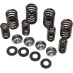 Σετ ελατηρίων racing με τιτάνιο περιοριστή KIBBLEWHITE 60-60500 thumb