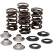 Σετ ελατηρίων racing με τιτάνιο περιοριστή KIBBLEWHITE 40-40660 thumb