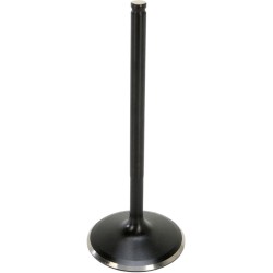 Βαλβίδα black diamond intake KIBBLEWHITE 82-82463 Βαλβίδα black diamond intake KIBBLEWHITE 82-82463