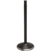 Βαλβίδα BLACK DIAMOND εισαγωγής KIBBLEWHITE 20-20935 Βαλβίδα BLACK DIAMOND εισαγωγής KIBBLEWHITE 20-20935 thumb