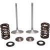 Βαλβίδα εισαγωγής KT CRF450R 17+ KIBBLEWHITE 30-32780