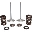 Βαλβίδα εισαγωγής KT CRF450R 17+ KIBBLEWHITE 30-32780 Βαλβίδα εισαγωγής KT CRF450R 17+ KIBBLEWHITE 30-32780 thumb