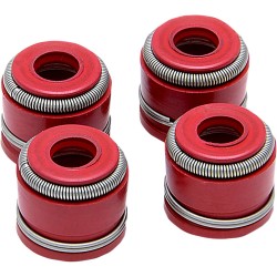 Στεγανοποίηση vlv gd CRF450R 4/pk KIBBLEWHITE 71015-4 Στεγανοποίηση vlv gd CRF450R 4/pk KIBBLEWHITE 71015-4