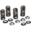 Σετ ελατηρίων YZ250F 2019 KIBBLEWHITE 80-82300 Σετ ελατηρίων YZ250F 2019 KIBBLEWHITE 80-82300 thumb