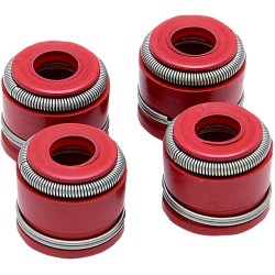 Στεγανοποίηση VG 4/PK YZ250F 2019 KIBBLEWHITE 80-82345