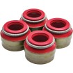 Στεγανοποίηση VITON 5/16 STEM 4/PK KIBBLEWHITE 71010-4 Στεγανοποίηση VITON 5/16 STEM 4/PK KIBBLEWHITE 71010-4 thumb