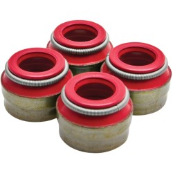 Στεγανοποίηση VITON 5/16 STEM 4/PK KIBBLEWHITE 71010-4 Στεγανοποίηση VITON 5/16 STEM 4/PK KIBBLEWHITE 71010-4