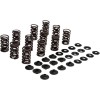 Σετ ελατηρίων χάλυβα YXZ1000R KIBBLEWHITE 80-81700