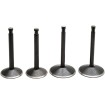 Σετ βαλβίδων 70-83 SPORTSTER KIBBLEWHITE 20-22300 Σετ βαλβίδων 70-83 SPORTSTER KIBBLEWHITE 20-22300 thumb