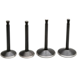 Σετ βαλβίδων 70-83 SPORTSTER KIBBLEWHITE 20-22300 Σετ βαλβίδων 70-83 SPORTSTER KIBBLEWHITE 20-22300