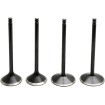 Σετ βαλβίδων 04-17 EVO/1200 KIBBLEWHITE 20-22900 Σετ βαλβίδων 04-17 EVO/1200 KIBBLEWHITE 20-22900 thumb