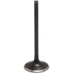 Βαλβίδα INT BD STD KIBBLEWHITE 30-33662 Βαλβίδα INT BD STD KIBBLEWHITE 30-33662 thumb