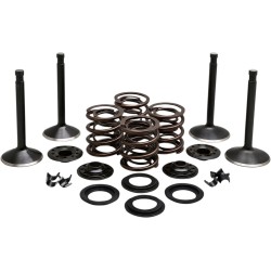 Κινητήρας KT KNUCKLEHEAD KIBBLEWHITE 20-22050 Κινητήρας KT KNUCKLEHEAD KIBBLEWHITE 20-22050