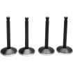 Σετ βαλβίδων PANHEAD KIBBLEWHITE 20-22100 Σετ βαλβίδων PANHEAD KIBBLEWHITE 20-22100 thumb