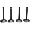 Βαλβίδα kt SHOVEL 74 66-77 KIBBLEWHITE 20-22400