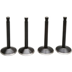 Βαλβίδα kt SHOVEL 74 66-77 KIBBLEWHITE 20-22400 Βαλβίδα kt SHOVEL 74 66-77 KIBBLEWHITE 20-22400